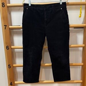 Zara Velvet Cropped Pants in Black